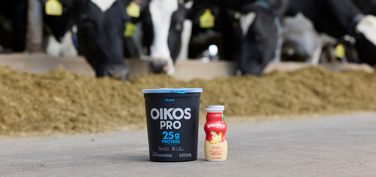 From Farm to Fridge: The Danone Milk Difference